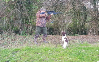 How to train a gundog